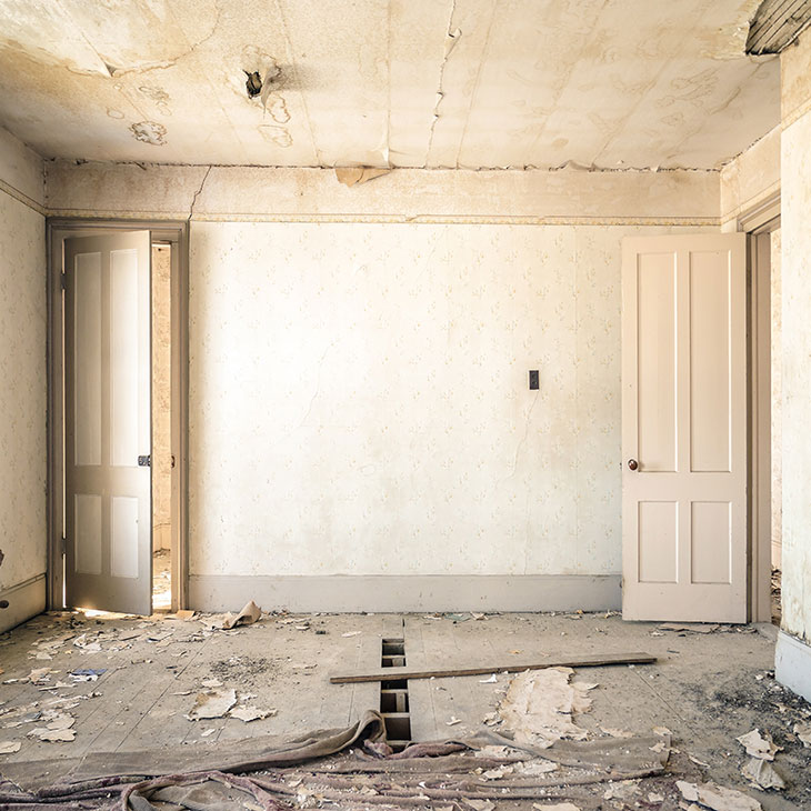 Photo by Nolan Issac on Unsplash.